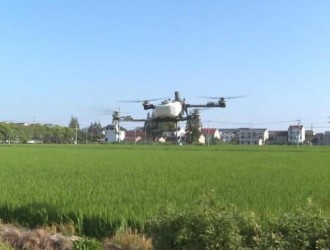 避高溫搶農時！無人機植保筑起水稻“防護網”